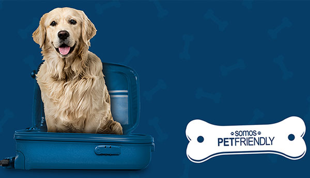 ¿quieres viajar con tu mascota? Hotel ILUNION Alcalá Norte Madrid